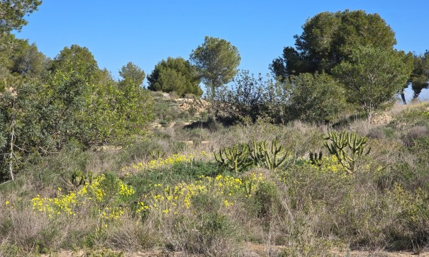 Venta - Apartamento piso -
Orihuela Costa - Villamartin