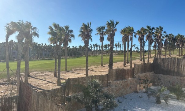 Venta - Chalet Independiente -
Algorfa