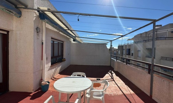Venta - Apartamento piso -
Torrevieja - Estacion de autobuses