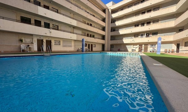 Venta - Apartamento piso -
Torrevieja - Estacion de autobuses