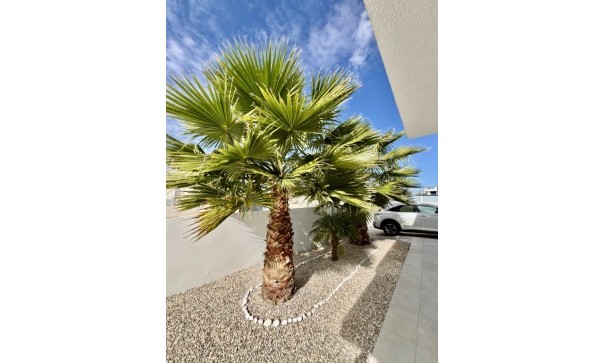 Återförsäljning - Fristående villa -
Benijofar