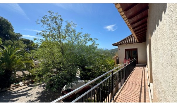 Venta - Finca Propiedad rural -
Monóvar