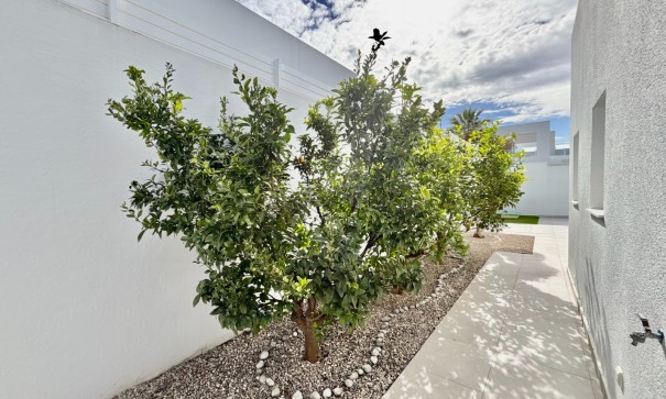 Venta - Chalet Independiente -
Benijofar - Benijofar - Village