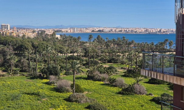 Revente - Appartement -
Torrevieja - Punta Prima