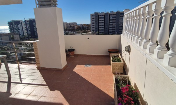 Revente - Appartement -
Torrevieja - Punta Prima