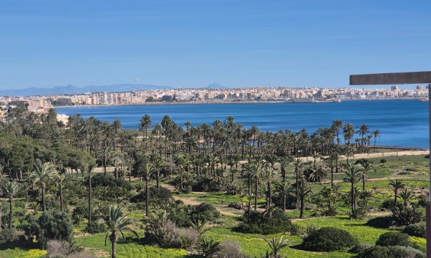 Revente - Appartement -
Torrevieja - Punta Prima