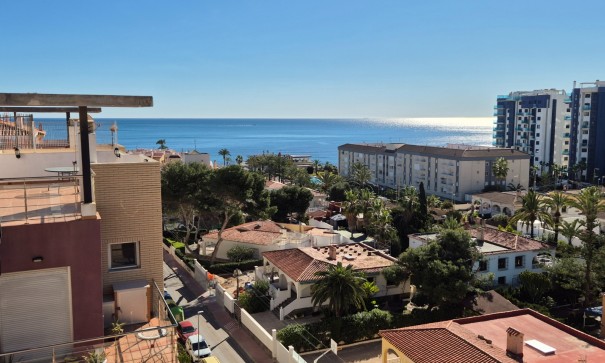 Revente - Appartement -
Torrevieja - Punta Prima