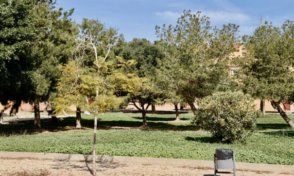 Sprzedaż - Apartament mieszkanie -
Torrevieja