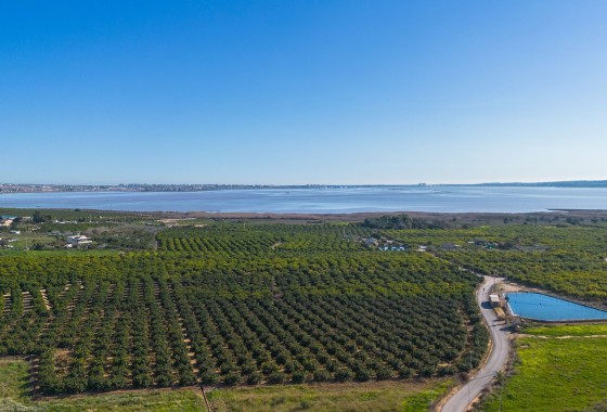 Herverkoop - Apartement Flat -
Los Montesinos