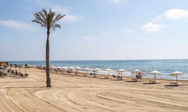 Nouvelle construction - Appartement -
Guardamar del Segura - Pueblo