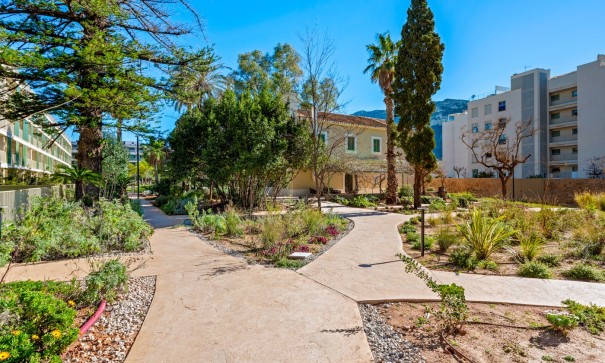 Revente - Appartement -
Denia - Puerto