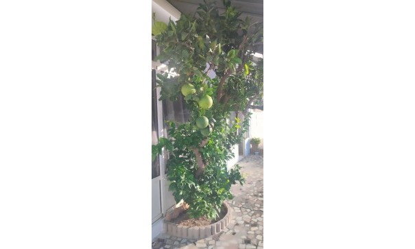 Revente - Villa -
Rojales - Ciudad Quesada