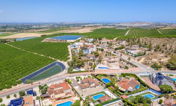 Resale - Freistehende Villa -
Algorfa - Lomas de la Juliana