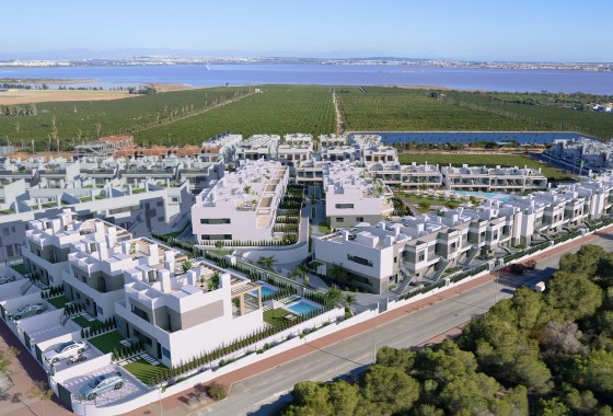 New Build - Wohnung Appartement -
﻿Torrevieja (Alicante) - Spain