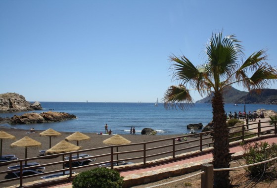 New Build - Stadthaus -
La Union - centro