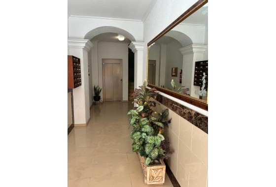 Sale - Apartment Flat -
Almoradí