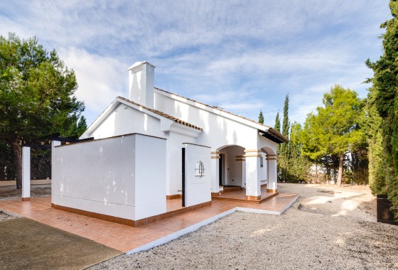 Nowa konstrukcja - Willa wolnostojąca -
Fuente Álamo