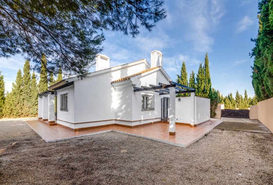 Nowa konstrukcja - Willa wolnostojąca -
Fuente Álamo