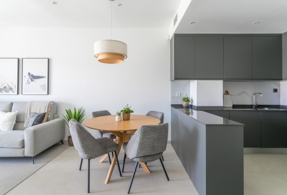 Nouvelle construction - Appartement -
Torrevieja