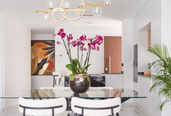 Nouvelle construction - Vrijstaande Villa -
San Pedro del Pinatar - San Pedro de Pinatar