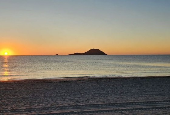 Nouvelle construction - Appartement -
La Manga del Mar Menor