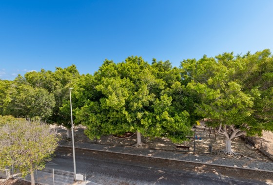 Obra Nueva - Chalet Independiente -
Pilar de la Horadada