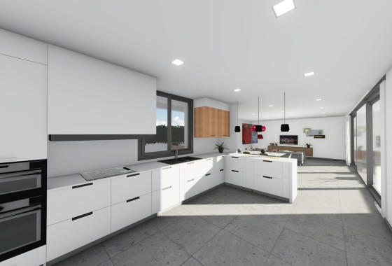 Nowa konstrukcja - Willa wolnostojąca -
San Juan de los Terreros