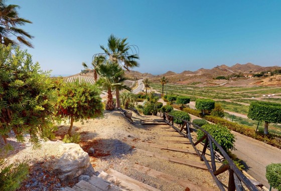 New Build - Freistehende Villa -
Águilas