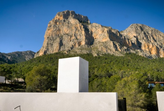 Nowa konstrukcja - Willa w zabudowie bliźniaczej -
Polop