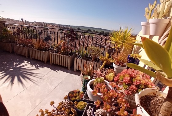 Herverkoop - Stadswoning -
Algorfa - La Finca Golf