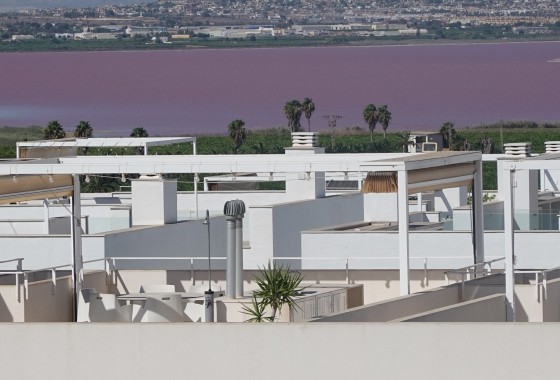 Herverkoop - Apartement Flat -
Torrevieja - Los Balcones