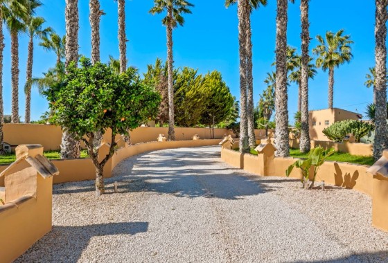 Herverkoop - Finca Landelijk pand -
Rafal