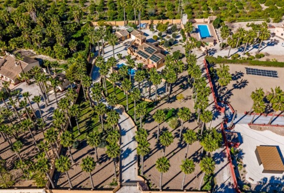 Herverkoop - Finca Landelijk pand -
Rafal