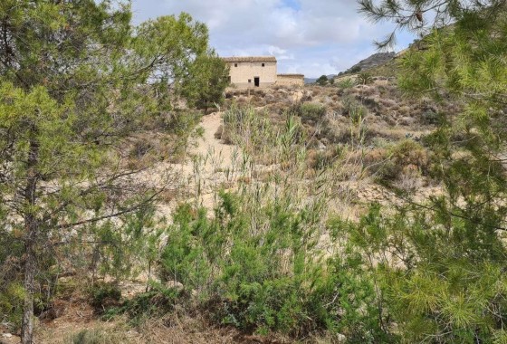 Sprzedaż - Działka / Grunt -
Murcia - Abanilla