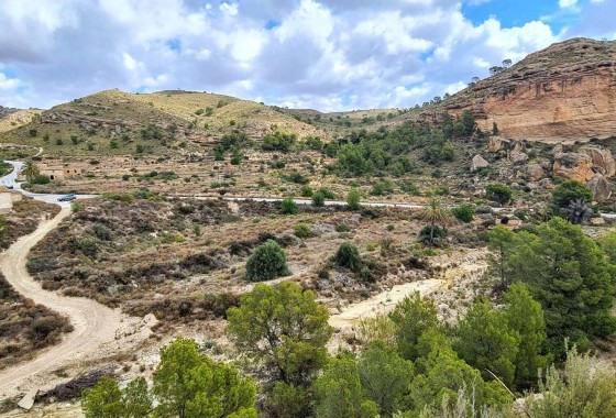 Sprzedaż - Działka / Grunt -
Murcia - Abanilla