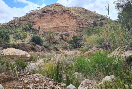 Sprzedaż - Działka / Grunt -
Murcia - Abanilla