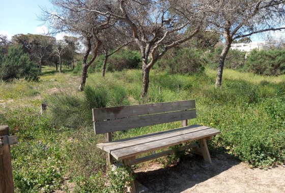 Resale - Wohnung Appartement -
Guardamar del Segura - Urbanizaciones