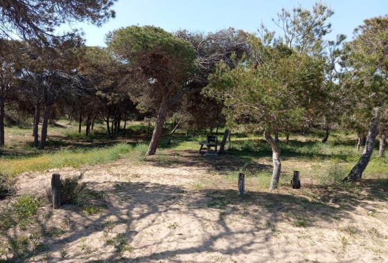 Resale - Wohnung Appartement -
Guardamar del Segura - Urbanizaciones