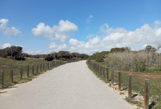 Resale - Wohnung Appartement -
Guardamar del Segura - Urbanizaciones