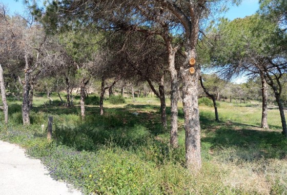 Resale - Wohnung Appartement -
Guardamar del Segura - Urbanizaciones