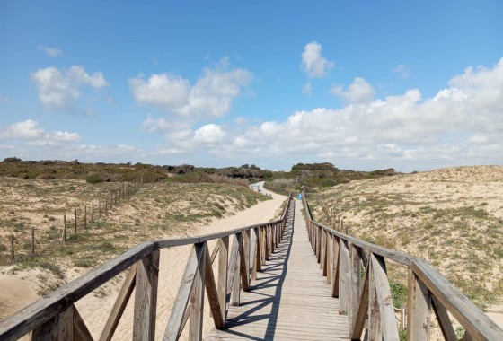 Resale - Wohnung Appartement -
Guardamar del Segura - Urbanizaciones