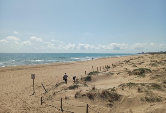 Resale - Wohnung Appartement -
Guardamar del Segura - Urbanizaciones