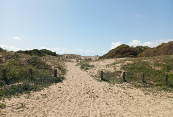 Resale - Wohnung Appartement -
Guardamar del Segura - Urbanizaciones