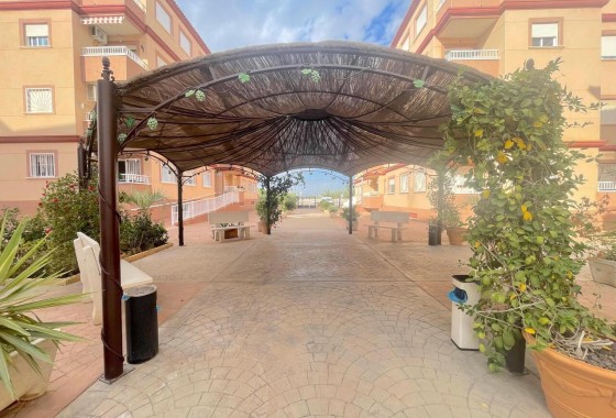 Herverkoop - Appartement / Flat -
Algorfa