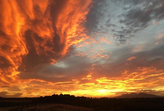 Herverkoop - Appartement / Flat -
Algorfa