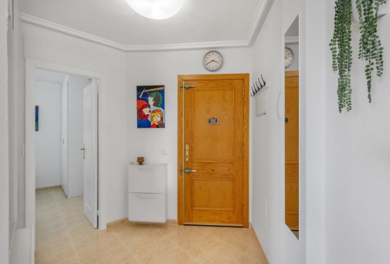 Sprzedaż - Apartament mieszkanie -
Torrevieja - Estacion de autobuses