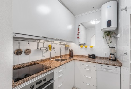 Sprzedaż - Apartament mieszkanie -
Torrevieja - Estacion de autobuses