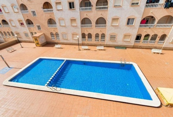 Sprzedaż - Apartament mieszkanie -
Torrevieja - Estacion de autobuses