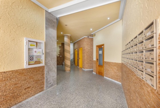 Sprzedaż - Apartament mieszkanie -
Torrevieja - Estacion de autobuses