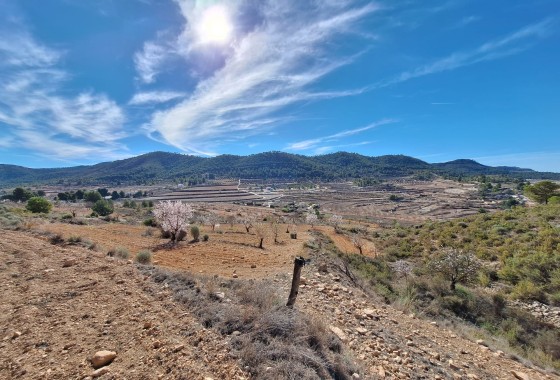 Sale - Grond -
Pinoso